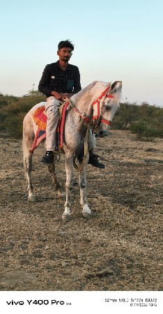 થંબનેલ 3