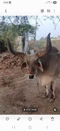 थंबनेल 2