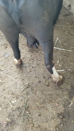 થંબનેલ 3