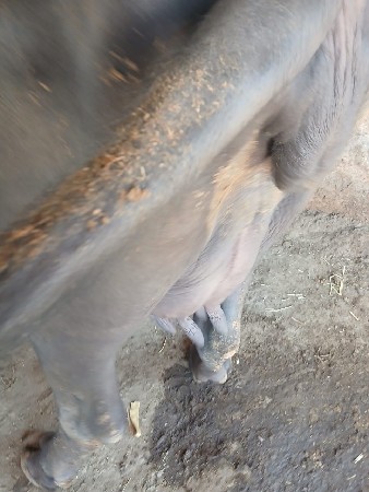 थंबनेल 3