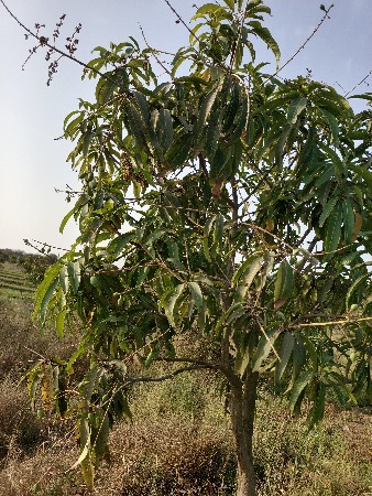 થંબનેલ 3