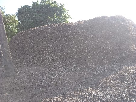 માંડવી નોભુકો વેચવાનો સે