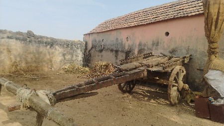 थंबनेल 2