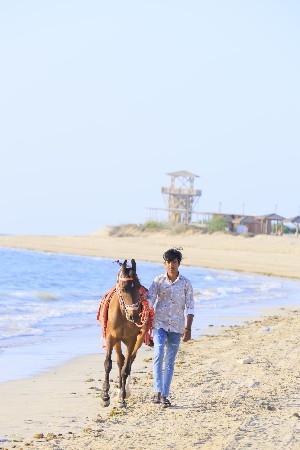 થંબનેલ 2