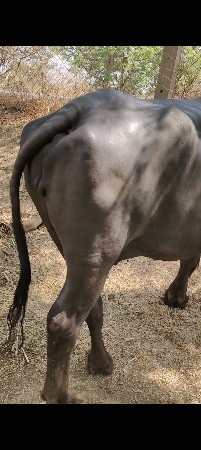 थंबनेल 2