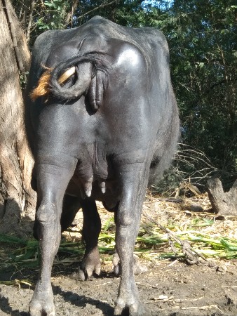 તાલુકો જીલ્લો પોરબંદર ગામ મંદિર તા
