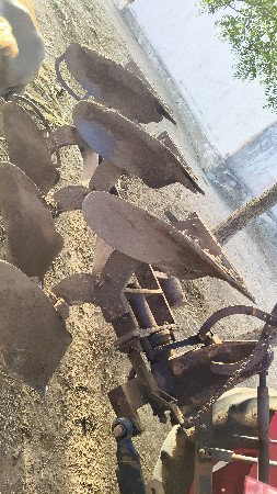 ખેપા વેચવાના છે. ૩ ગો