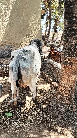 थंबनेल 2