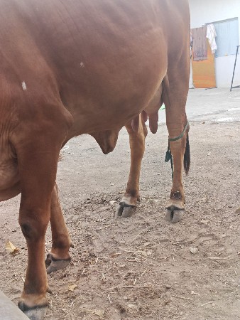 थंबनेल 3