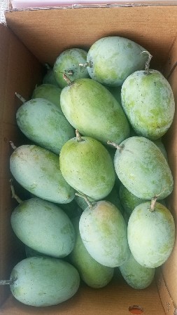 थंबनेल 2