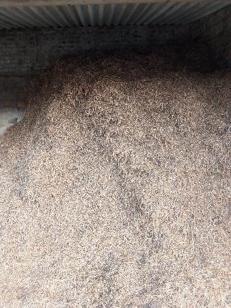 માદવીનોપાલોવેસવાનોછે  6 વિઘાનો