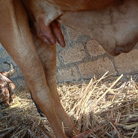 થંબનેલ 3