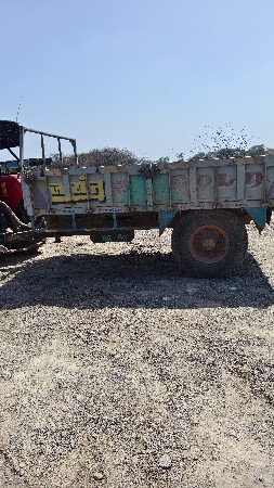 જયંતિ ની ટોલી વેચવાની છે