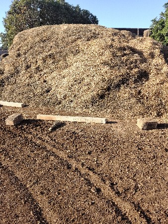 ભુકો વેચવાનો છે,