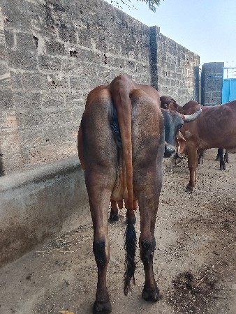 थंबनेल 2