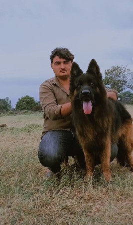 थंबनेल 3