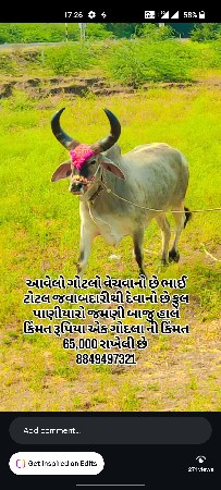 થંબનેલ 3