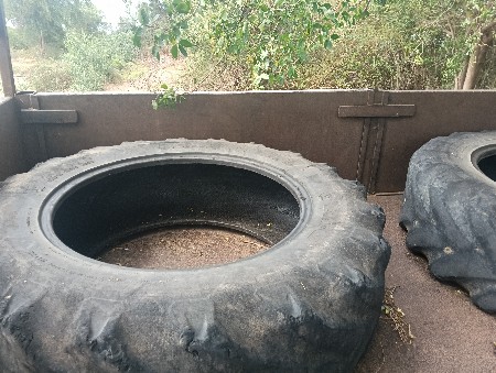 થંબનેલ 3