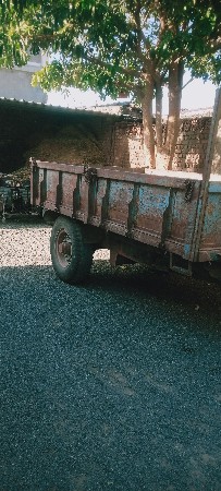 થંબનેલ 3