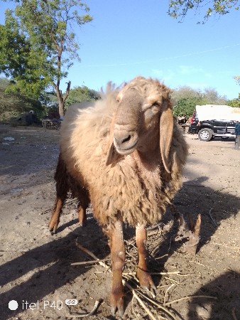 थंबनेल 3