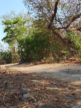 કોઈ મારા ભાઈને આખરી કે બાવરડા નો ભ