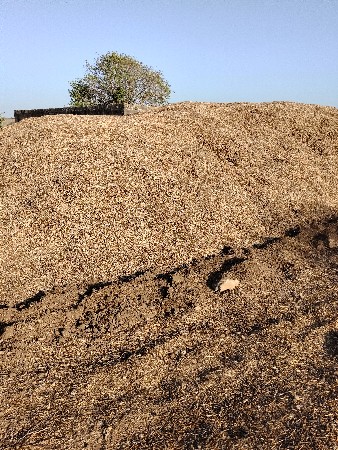 ભૂકો વેચવાનો છે