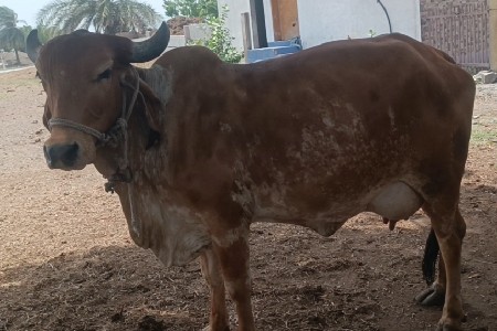 थंबनेल 2