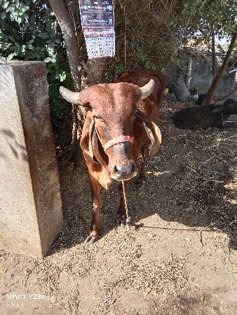 थंबनेल 3