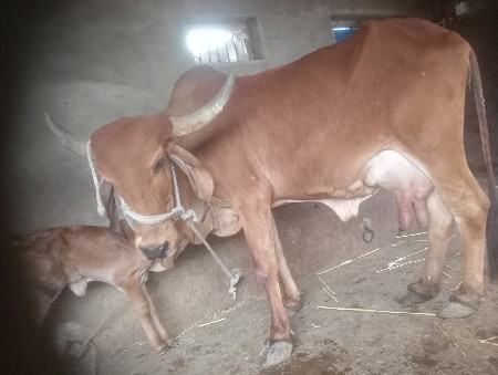 थंबनेल 2