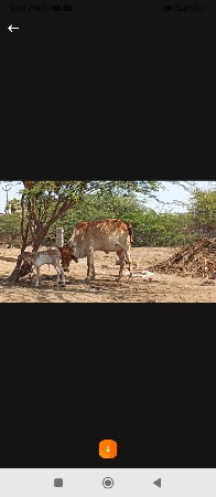 थंबनेल 2