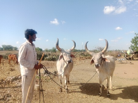 થંબનેલ 4