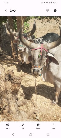 थंबनेल 2