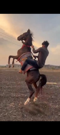 થંબનેલ 3