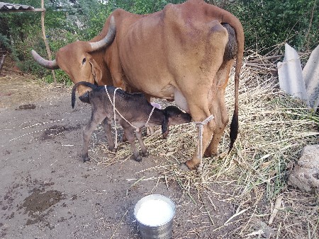 थंबनेल 2