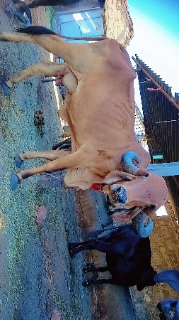 थंबनेल 2