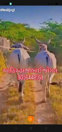 थंबनेल 4