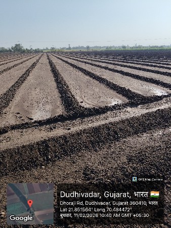 જામકંડોરણા તાલુકામાં જમીન