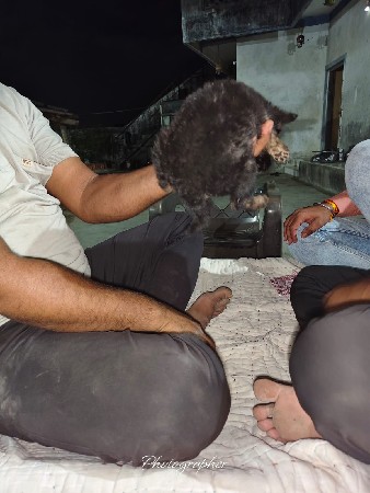 થંબનેલ 2