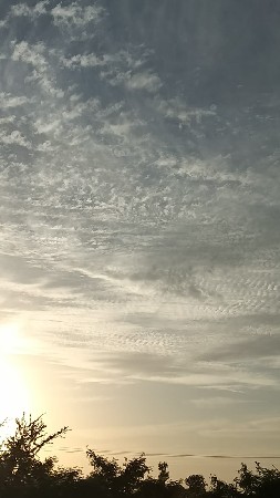 રોડ ટચ્ચ જમીન