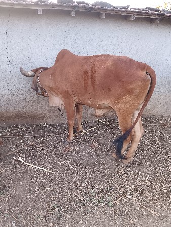 थंबनेल 2