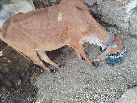 थंबनेल 2