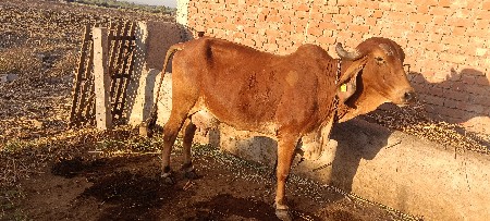 थंबनेल 3