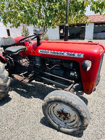 મેસી 35 સાદું