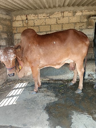 थंबनेल 3