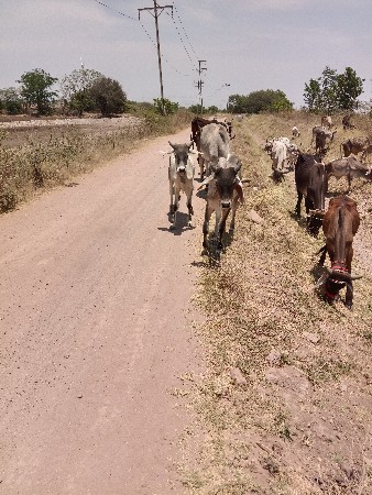 थंबनेल 2