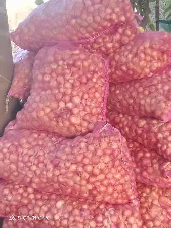 ડુંગરી વેચવાની છે