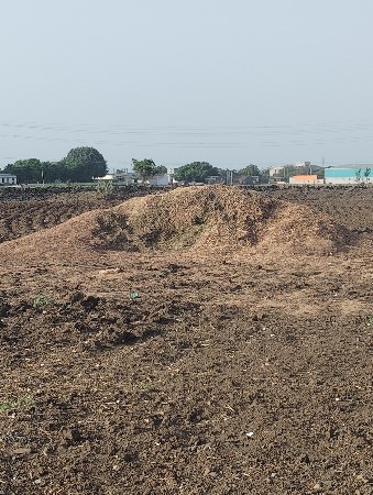 તૂવેર નો ભેકો