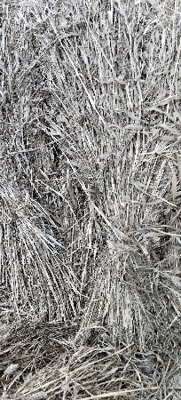 2000 પુરા દેવાના છે