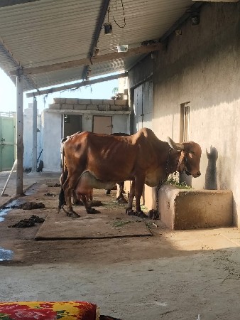 थंबनेल 2