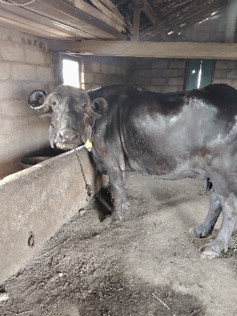 20 દિવસની વાત છે